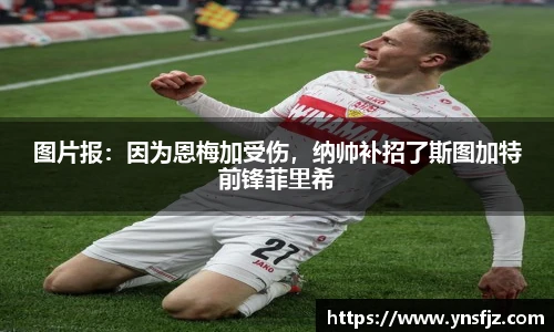 图片报：因为恩梅加受伤，纳帅补招了斯图加特前锋菲里希